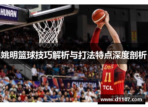 姚明篮球技巧解析与打法特点深度剖析