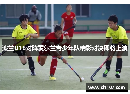 波兰U18对阵爱尔兰青少年队精彩对决即将上演